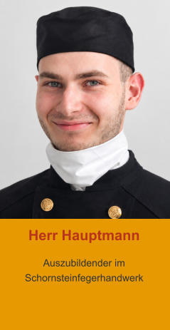 Herr Niclas Hauptmann